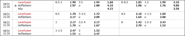 Soi keo chau A, keo chap Leverkusen vs Hoffenheim 31/8/2019